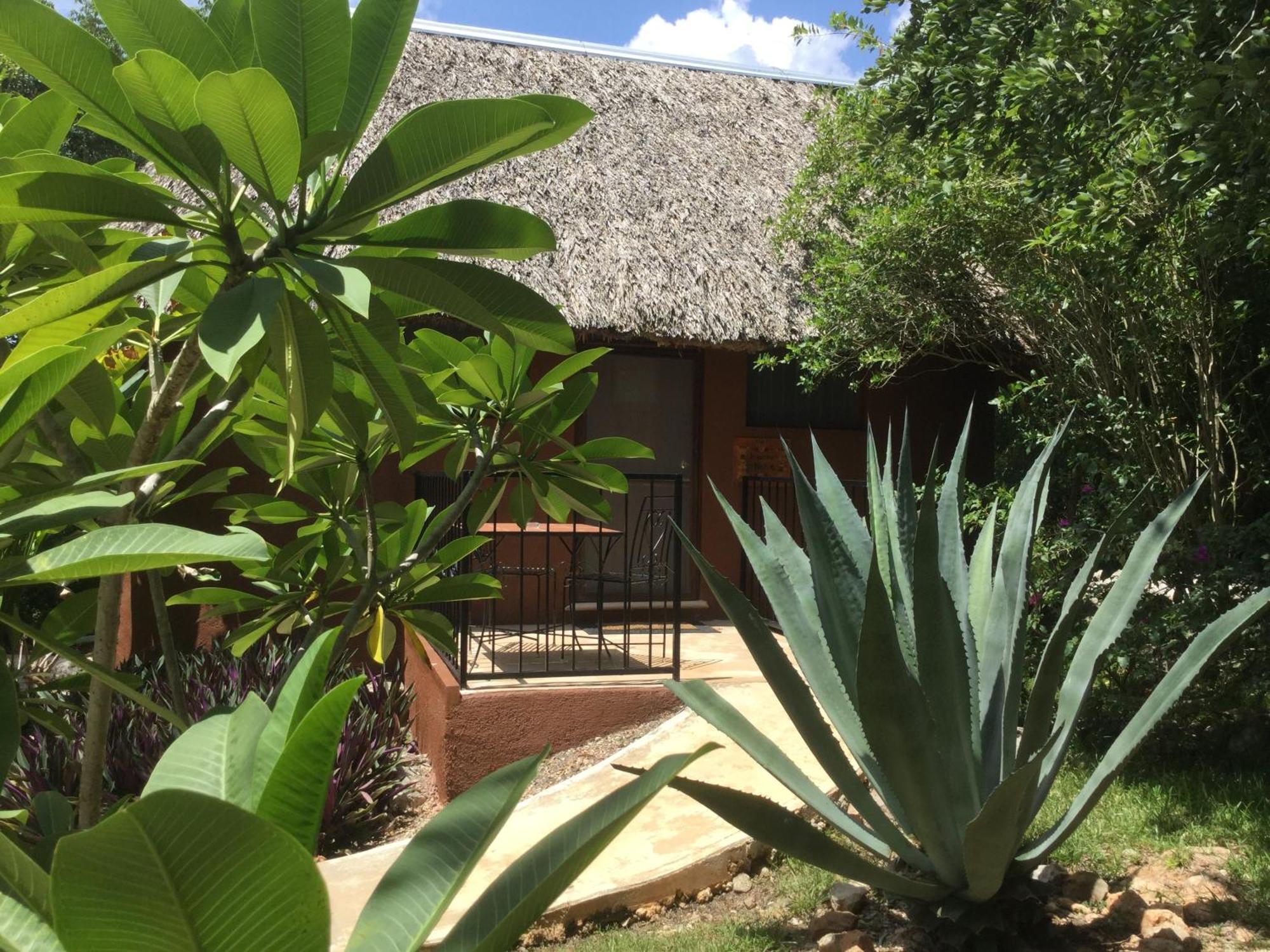 The Pickled Onion B&B And Restaurant Uxmal Santa Elena 部屋 写真