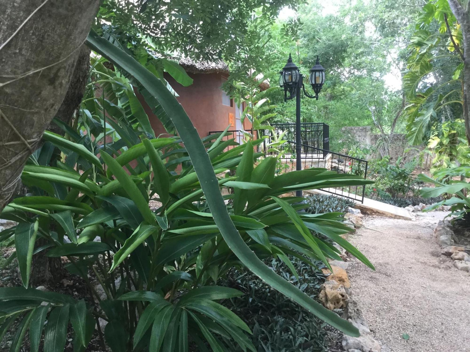 The Pickled Onion B&B And Restaurant Uxmal Santa Elena 部屋 写真
