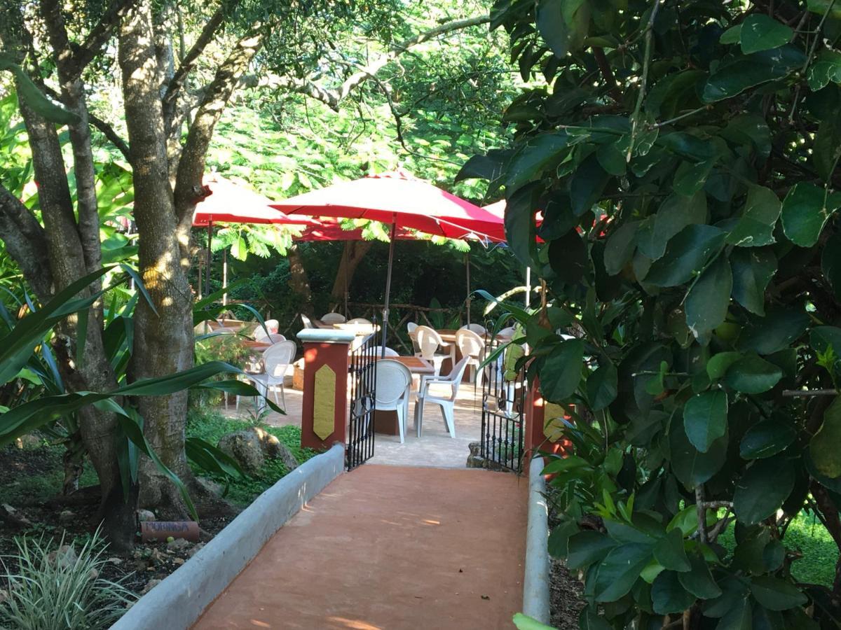 The Pickled Onion B&B And Restaurant Uxmal Santa Elena エクステリア 写真