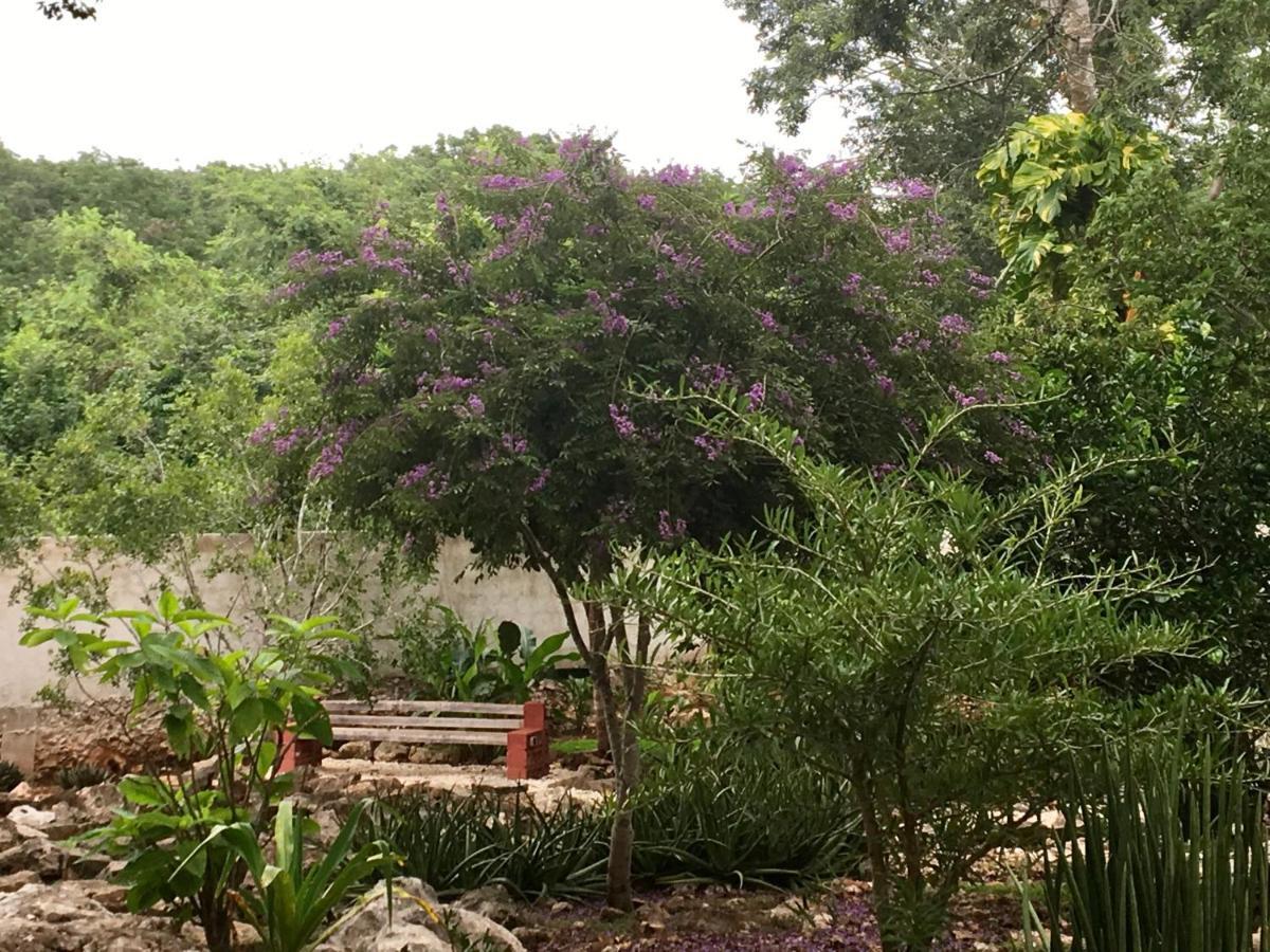The Pickled Onion B&B And Restaurant Uxmal Santa Elena エクステリア 写真